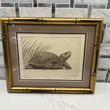 Nancy louvier turtle for sale  Liberty