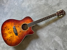 Washburn dfbacea acoustic for sale  Bath