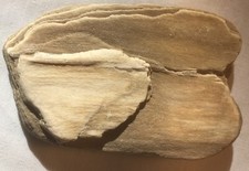 Petrified wood collection for sale  Sioux City