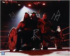 Viking raiders wwe d'occasion  Expédié en Belgium