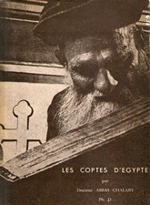 Les coptes egypte usato  Vertemate con Minoprio