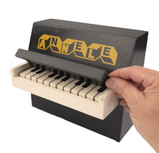 Mini kinder klavier gebraucht kaufen  Cadolzburg