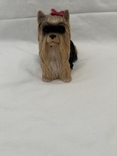 Long hair yorkshire for sale  SHEFFIELD