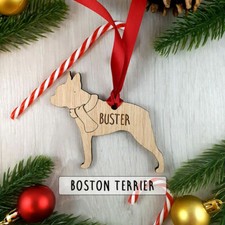 brown boston terrier for sale brown boston terrier for sale CHORLEY