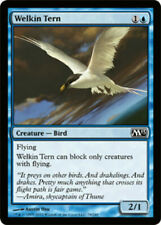 Welkin tern magic for sale  PONTEFRACT