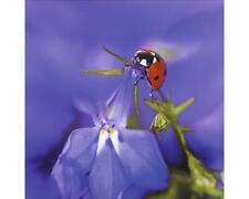 Glasbild little friends gebraucht kaufen  Deutschland