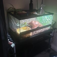 Beautiful half foot for sale  MANCHESTER
