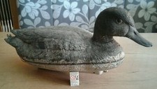 Enten stockente teichenten gebraucht kaufen  Friedrichsthal