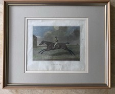 Baronet race horse for sale  CAMBRIDGE