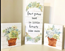 Set succulent wall for sale  Lincoln