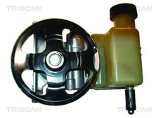Triscan hydraulikpumpe lenkung gebraucht kaufen  Oberlungwitz
