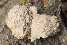 Mineralien baryt steinbruch gebraucht kaufen  Sundern (Sauerland)