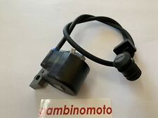 Bobina elettronica agrimondo usato  Ravanusa