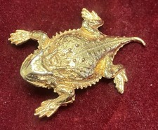 Beautiful horned horny for sale  Chula Vista