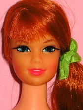 barbie stacie for sale barbie stacie for sale Poughkeepsie