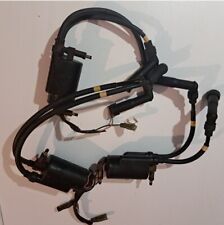 Bobine accensione kawasaki usato  Teramo