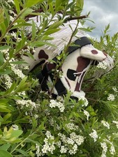 Hobby horse gebraucht kaufen  Rathenow-Umland