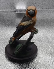 The country bird usato  Sormano