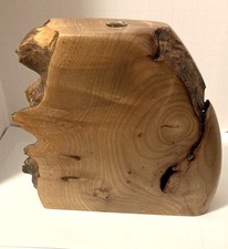 Maple burl bud for sale  Milford