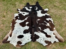 Large tricolor rodeo for sale  Suwanee
