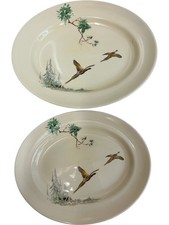 Royal doulton coppice for sale  UK