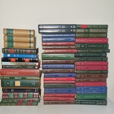 evergreen mondadori usato  Vignola