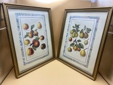 Pair apple pear for sale  LEEDS