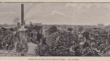 1899 paris jardin d'occasion  France