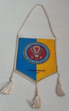 Eintracht braunschweig wimpel gebraucht kaufen  Ulm