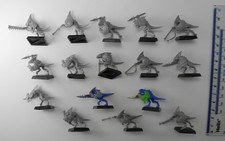 skinks for sale skinks for sale HAVERHILL