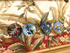 WEDGWOOD 4 PRATOS DECORATIVOS COLEÇÃO DE ARARAS AMEAÇADAS DA AMÉRICA DO SUL comprar usado  Enviando para Brazil