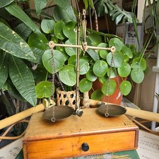 Vintage apothecary pharmacy for sale  BROMLEY