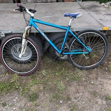 Rare rock lobster for sale  WARRINGTON