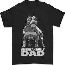 American bully dad for sale  COVENTRY