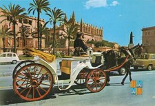 Postcard paseo sagrera for sale  STOCKPORT