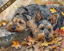 Welsh terrier watercolor for sale  Shipping to Ireland