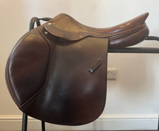 Amerigo chestnut brown for sale  TYN-Y-GONGL