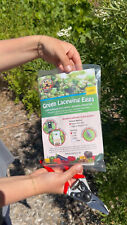Green lacewing eggs for sale  Santa Paula