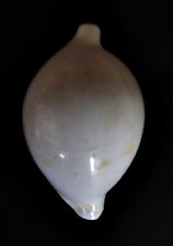Ovula ovum mm d'occasion  Brie-Comte-Robert