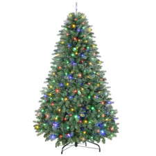 Shareconn 180 albero usato  Roccagloriosa