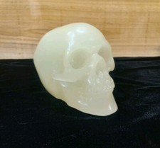 Glow dark skull for sale  San Antonio