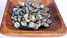 Abalone shells 11.5 for sale  Exeter