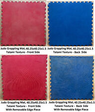 Judo grappling martial for sale  Burke
