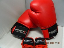 Luvas de treinamento vermelhas de boxe/chute boxe/MMA para adultos 12 oz comprar usado  Enviando para Brazil