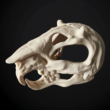 Rat skull mask for sale  STOCKTON-ON-TEES