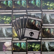 Swamps mtg basic for sale  Denver