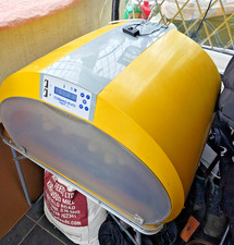 Incubators hatching eggs for sale  STOCKPORT