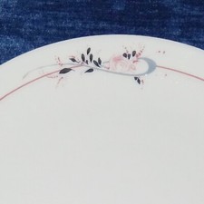 Rosenthal romanze seltenes gebraucht kaufen  Schwülper