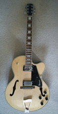 Hartwood novella hollowbody for sale  ROWLAND'S CASTLE