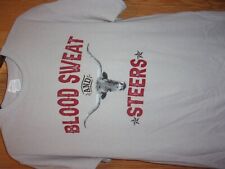Bulls cows beef for sale  Inverness